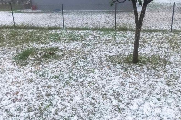 "Očekivali smo duplo veći rod, a sada je sve pod vodom!" Srpski poljoprivrednici očajni, šteta od grada u Ivanjici ogromna