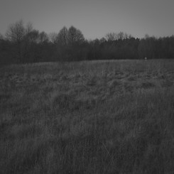 Wołyń, którego nie ma. 'Na chłodno, bez emocji nie dajemy rady zrozumieć tego, co się wydarzyło ponad 70 lat temu'