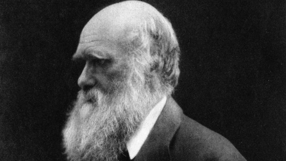 Karol Darwin w 1868 roku (fot. Julia Margaret Cameron, domena publiczna)