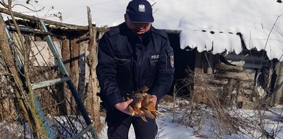 Dramat staruszków. Ogrzewali się parą z garnka