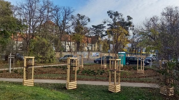 Na pl. Daniłowskiego pojawiło się kilkadziesiąt drzew