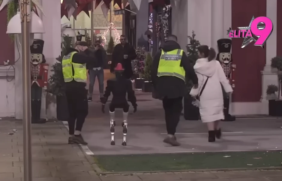 Miljana Kulić se svađa sa robotom