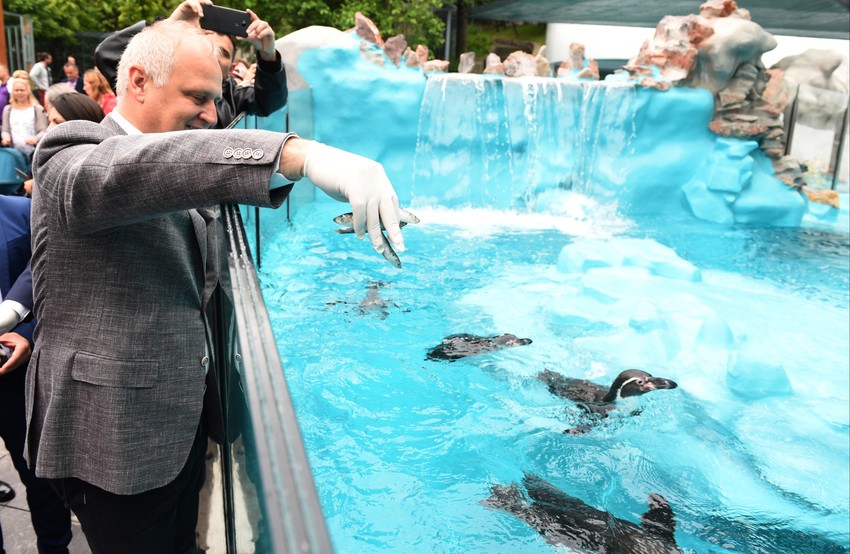 Goran Vesić: Zoološki vrt osim za zabavu služi i za edukaciju