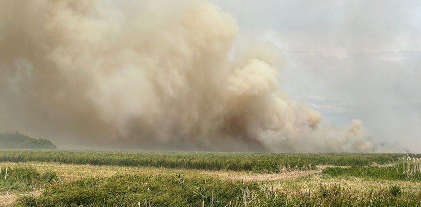 Wielki pożar na terenie Biebrzańskiego Parku Narodowego. Płoną hektary łąk