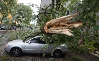 PSP: Ponad 16 tys. gospodarstw wciąż pozostaje bez prądu