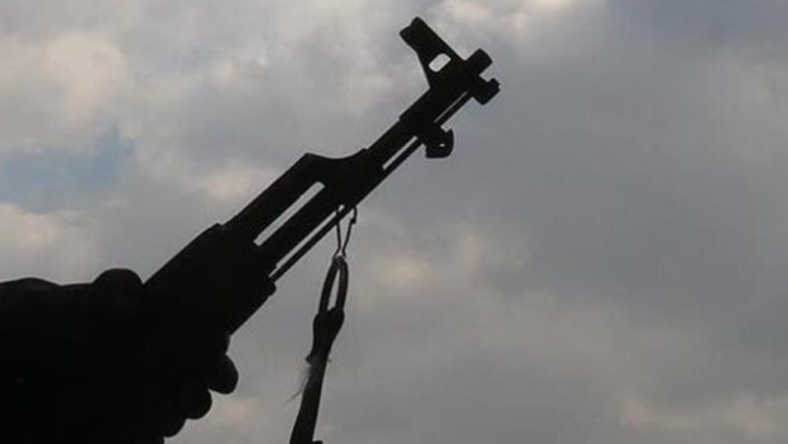 Bandits kill 3 in Kaduna communities - Vimarsana News
