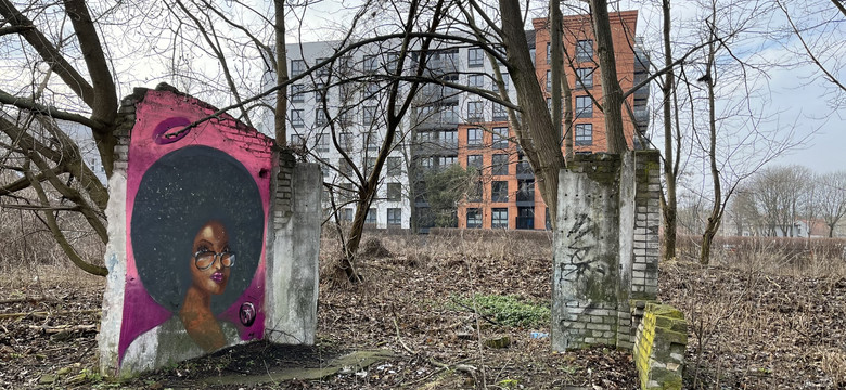 To miasto jest "nieskończonym placem budowy". Przestrzeń miejska zmienia się z dnia na dzień