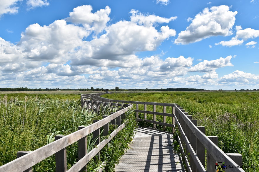 Narwiański Park Narodowy