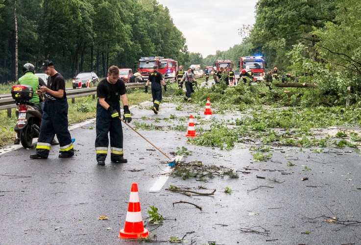 Piasek na Śląsku. Strażacy usuwają powalone drzewa z drogi krajowej nr 1