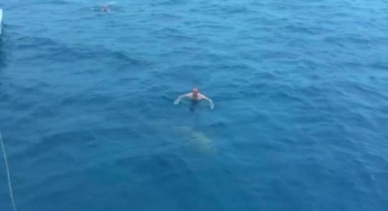 Man nearly collides with shark while swimming