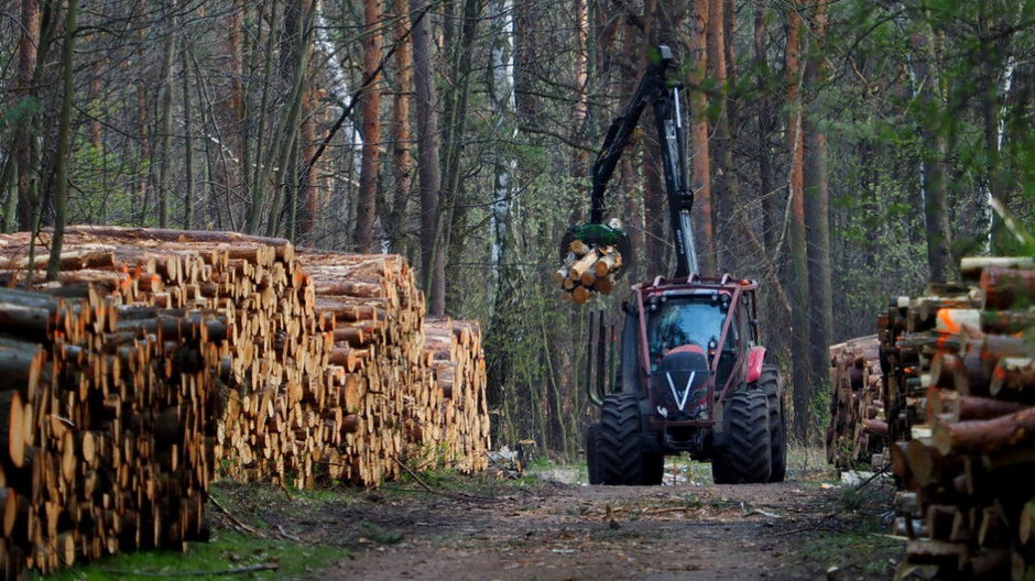 Mieszkańcy sprzeciwiają się wycince