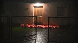 Alarmująca powodziowa sytuacja na Pomorzu. Niszczycielski żywioł atakuje