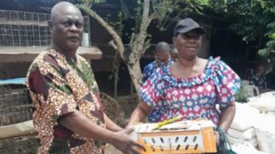 Farmers receiving broiler chicks and feeds from Nigeria COVID-19 Action Recovery and Economic Stimulus (N-CARES) Programme on Saturday in Lagos.
