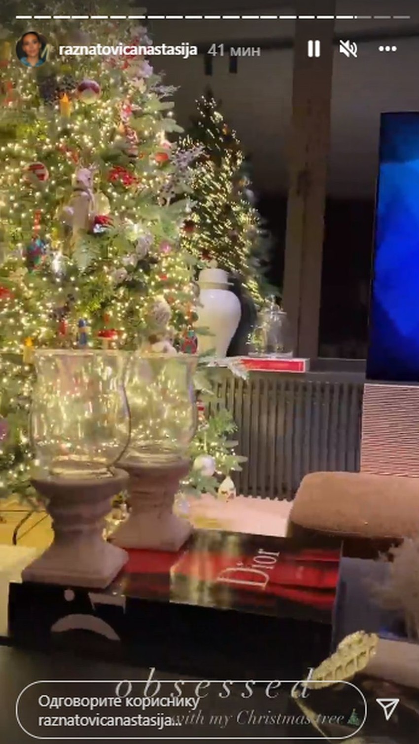 Anastasija Ražnatović 