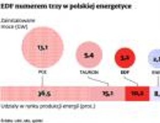 Gigantyczna inwestycja EDF na Śląsku mocno opóźniona