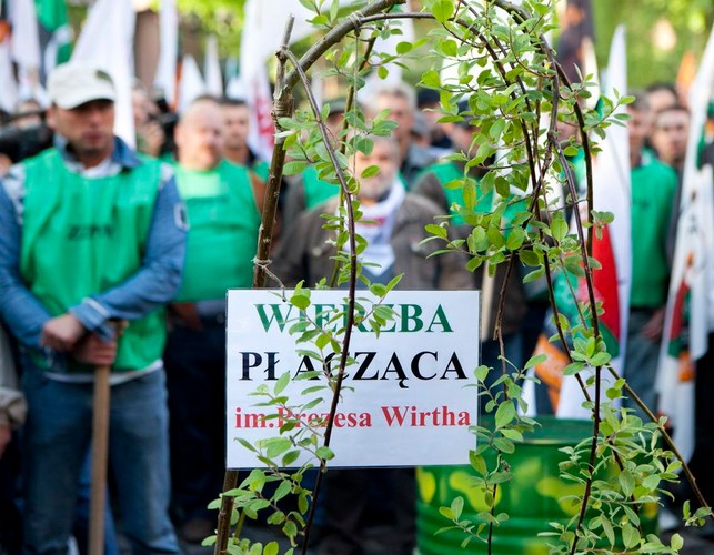 Bitwa przed siedzibą KGHM w Lubinie