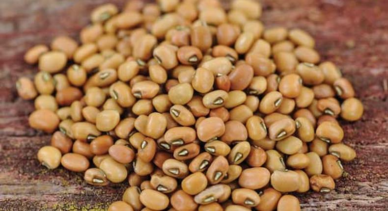 Nigeria to rake in $638m through cowpea export - OFAB. [grit]