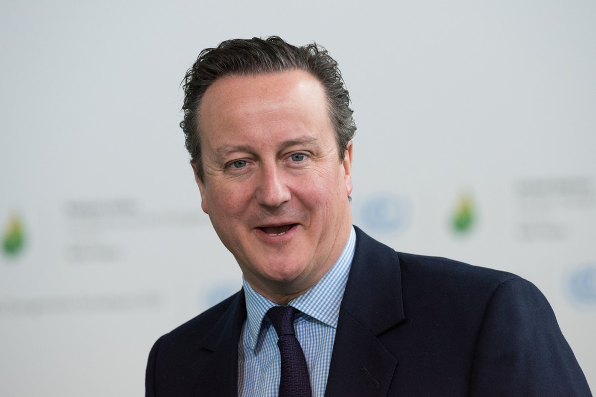 David Cameron zgadza się ze strategią May i jest zdania, że nie można jej obwiniać za to, że próbowała działać.