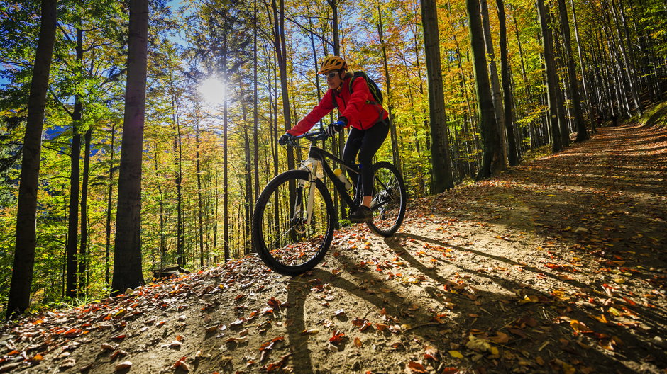 10 powodów, by wsiąść na rower jesienią