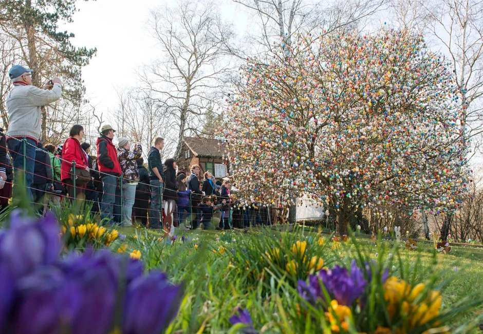 Turisti se okupljaju oko drveta ukrašenog uskršnjim jajima