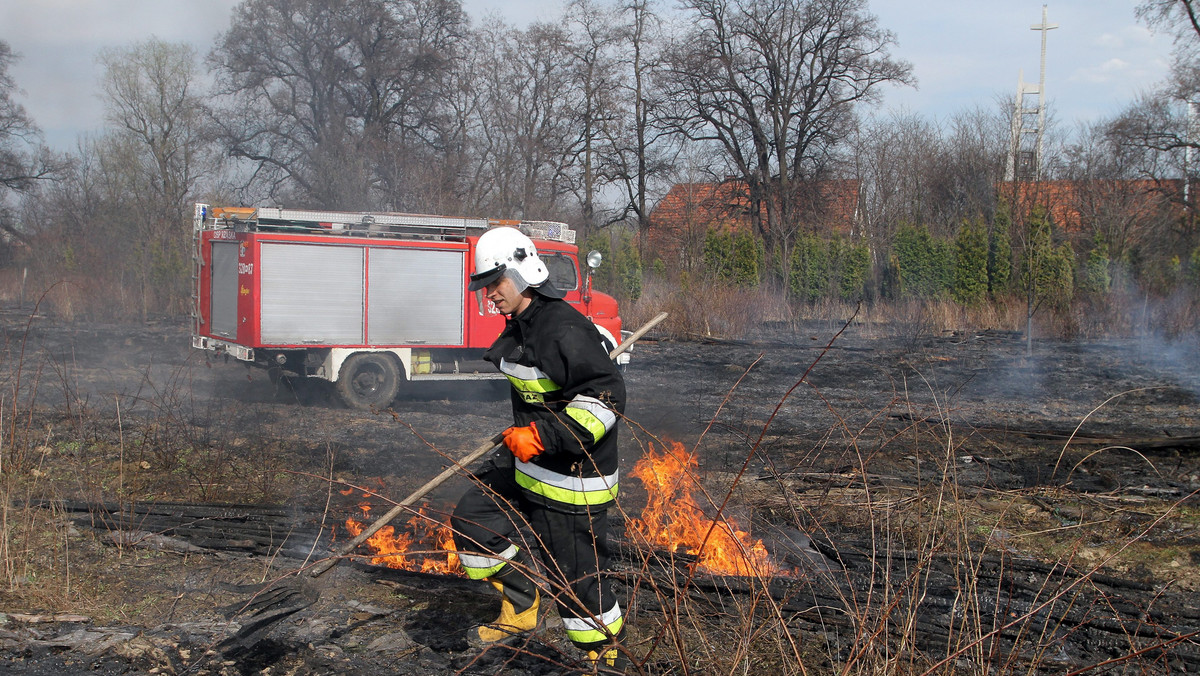 Pełne ręce roboty mają dziś stołeczni strażacy. W trzech miejscach miasta doszło do pożarów traw. Największy wybuchł w okolicach ul. Myśliborskiej na Białołęce.