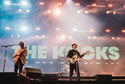 The Kooks