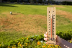 Rekordowe temperatury w sierpniu? IMGW zdradza szczegóły [PROGNOZA DŁUGOTERMINOWA]