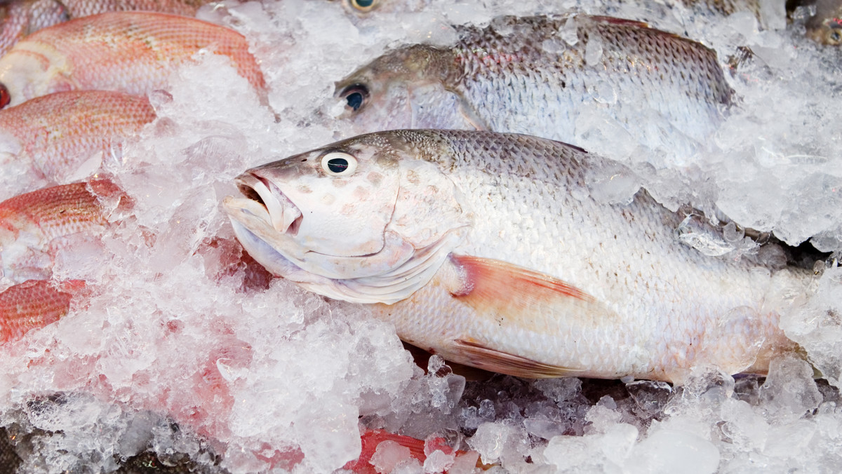 Czy mrożone ryby są zdrowe? Na co uważać przy zakupie mrożonej ryby?