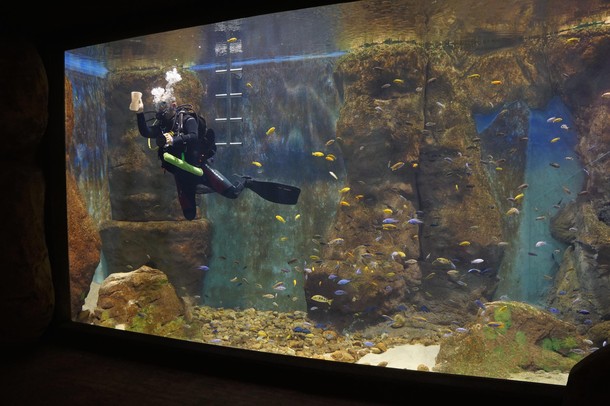 ZOO Wrocław Afrykarium Afryka zwierzęta oceanarium