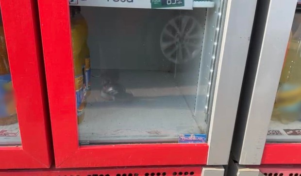 Potražnja za vodom u Čačku