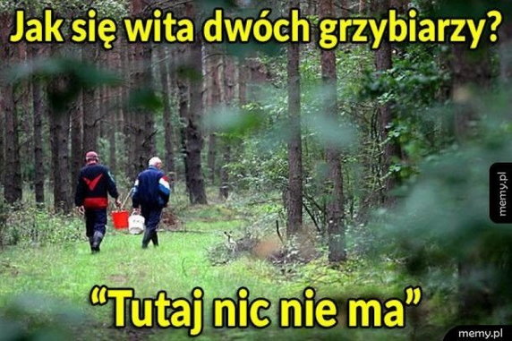 Sezon na grzyby rozpoczęty