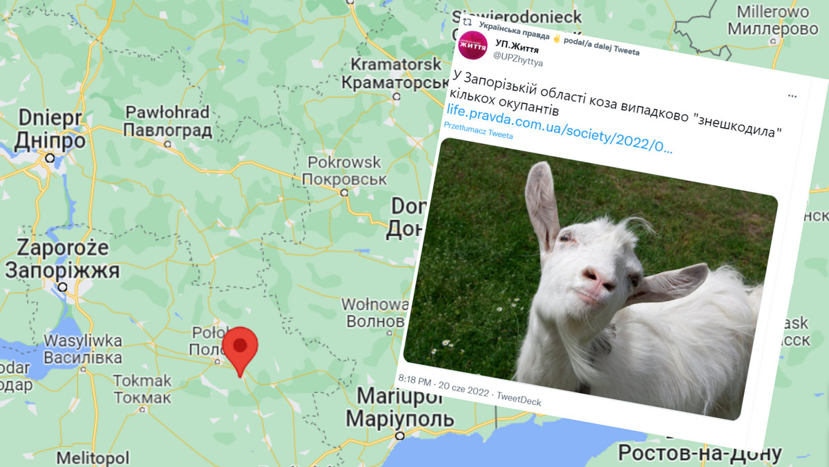 Zbłąkana ukraińska koza wysadziła w powietrze rosyjskich okupantów