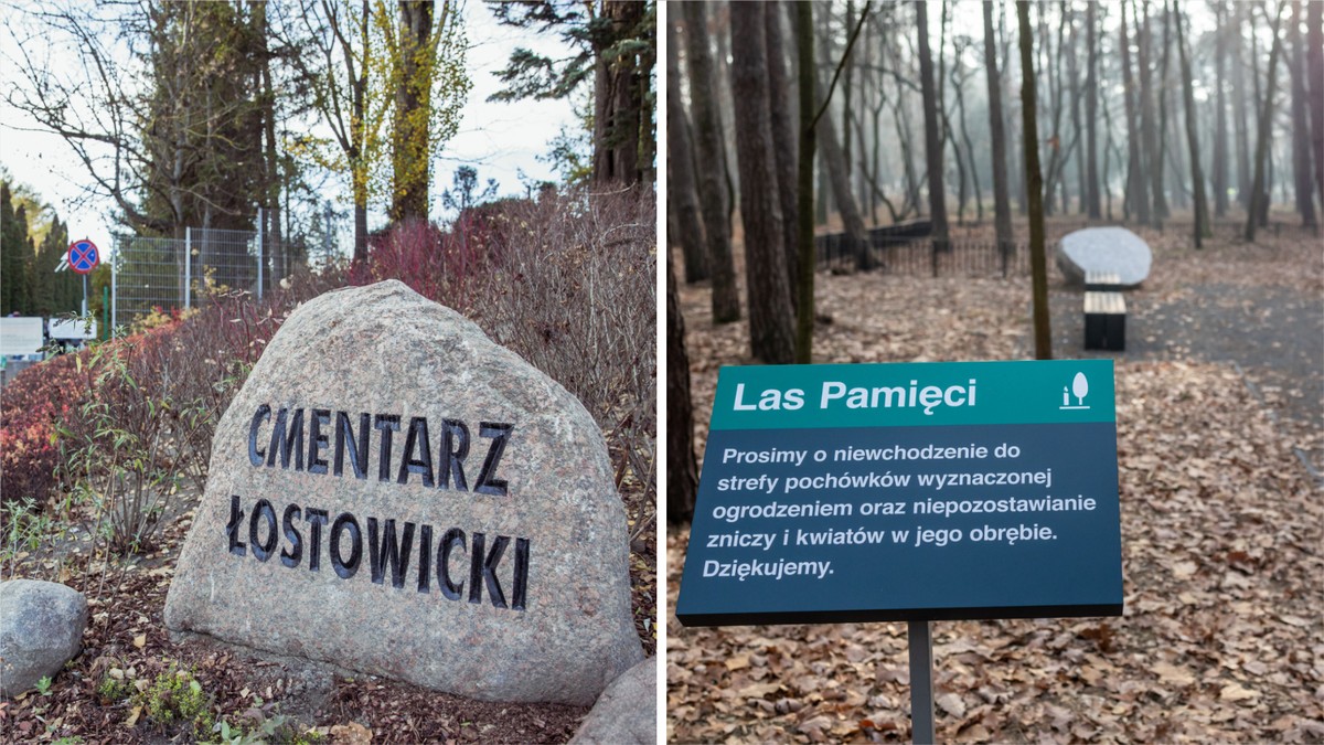 Coraz więcej Polaków wybiera ekologiczny pochówek zamiast tradycyjnego grobu