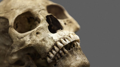 Szenzációs felfedezés: ötezer éves gyilkosság körülményeit tárták fel a kutatók