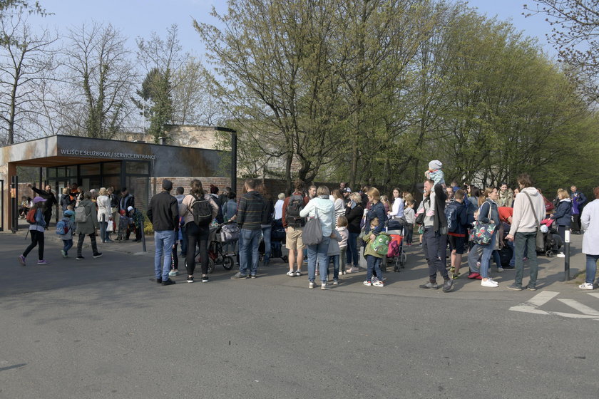 We Wrocławiu strajkuje 177 szkół i przedszkoli