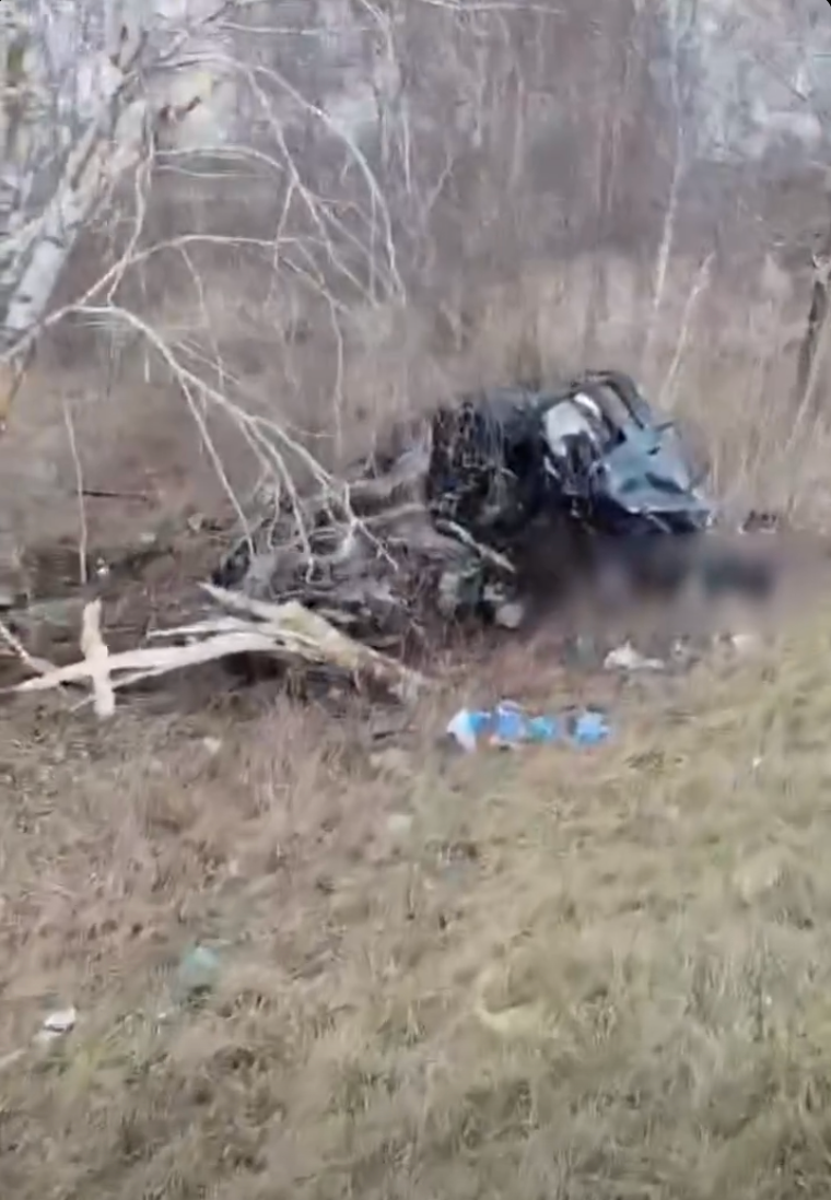 Vodič narazil pri Dunajskej Strede do stromu, pri nehode zomrel.