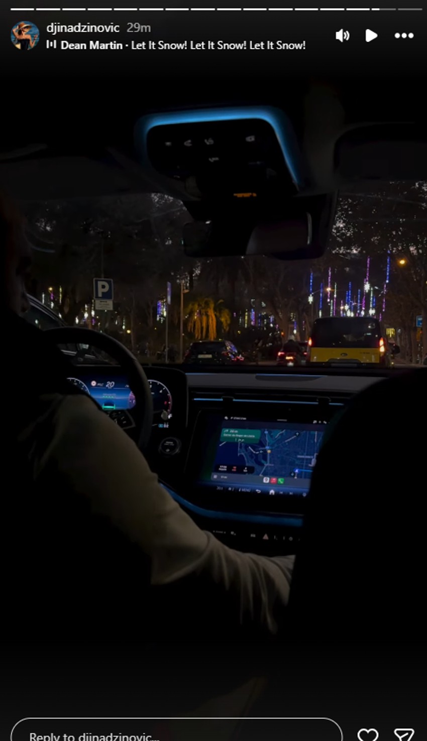 Đina Džinović objava