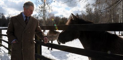 Tajemnica wizyty księcia Karola na Podlasiu. Przydarzyła mu się nietypowa rzecz, która później urosła do rangi miejscowej legendy