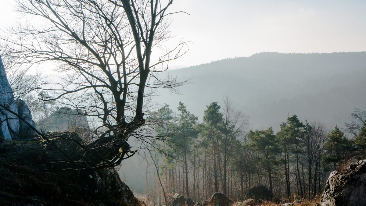 Jura Krakowsko-Częstochowska na liście światowego dziedzictwa UNESCO? Na taki pomysł wpadli lokalni społecznicy i grupa mieszkańców, którzy przygotowali list otwarty w tej sprawie. – To początek wieloletniego procesu, ale jesteśmy dobrej myśli – mówią. Inicjatywę popiera Łukasz Konarski, prezydent Zawiercia i parlamentarzyści z regionu.