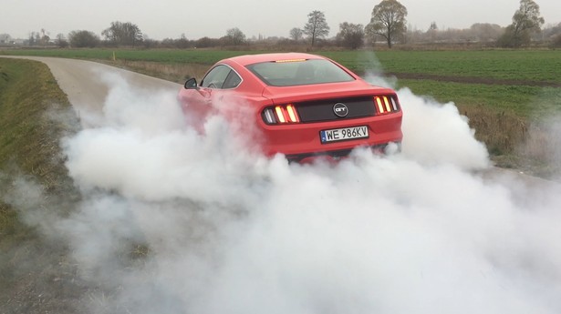 Bąk: Ford Mustang GT. To jest po prostu @#$%^&*! [WIDEO]