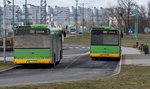 Dziwne nagranie z poznańskiego autobusu. "Szampan wylewa się"