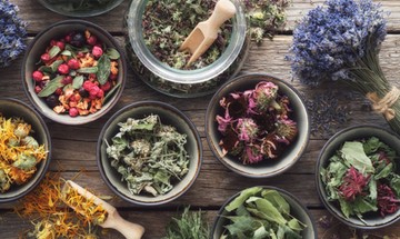 felfekvés, aloe vera, gyógynövény, természetes gyógymód