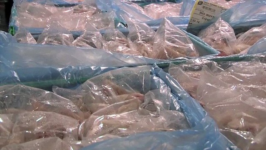 Kada pilići dovoljno porastu bicaju ugušeni gasom, očišćeni i iseckani u devet delova