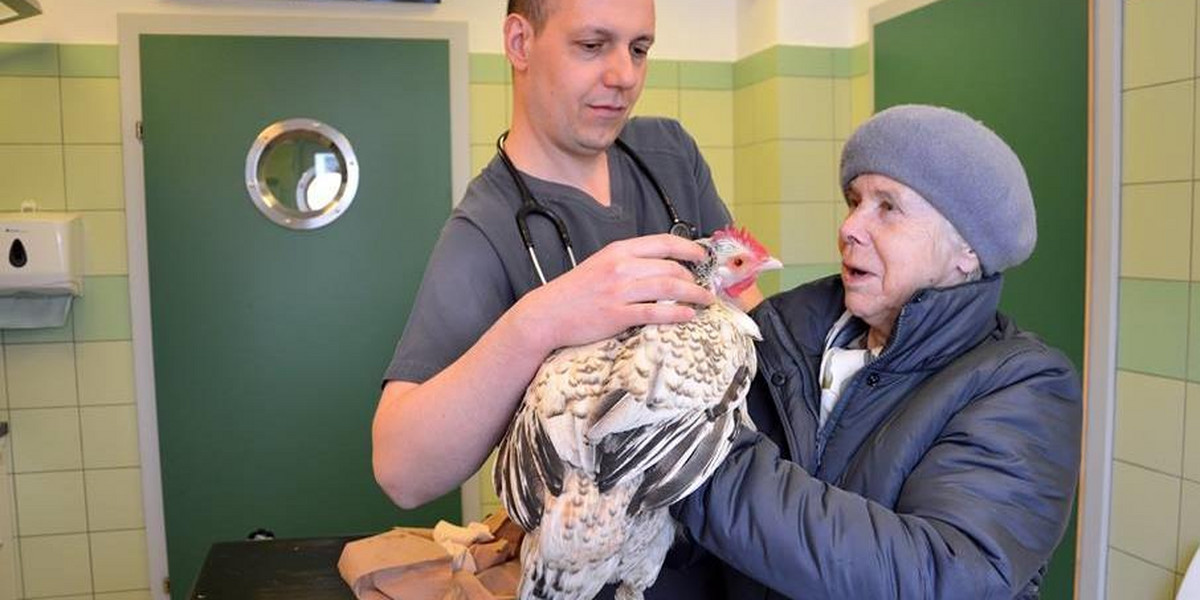 Przyszła kura do doktora: jestem bardzo chora!
