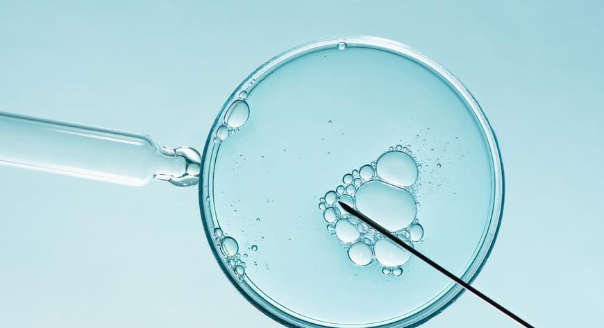 600 krakowskich par rocznie wymaga leczenia metodami medycznie wspomaganego rozrodu takimi jak in vitro