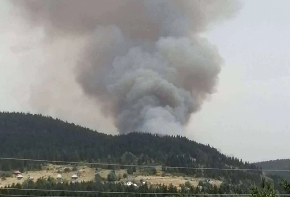 šumski požar u pograničnom pojasu Srbije i Crne Gore u reonu Kamene Gore
