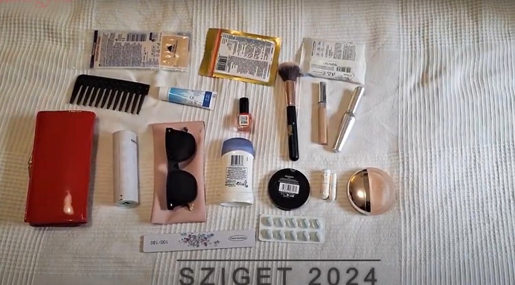 Ezt mind visszük a Sziget-re, Fotó: Kiskegyed