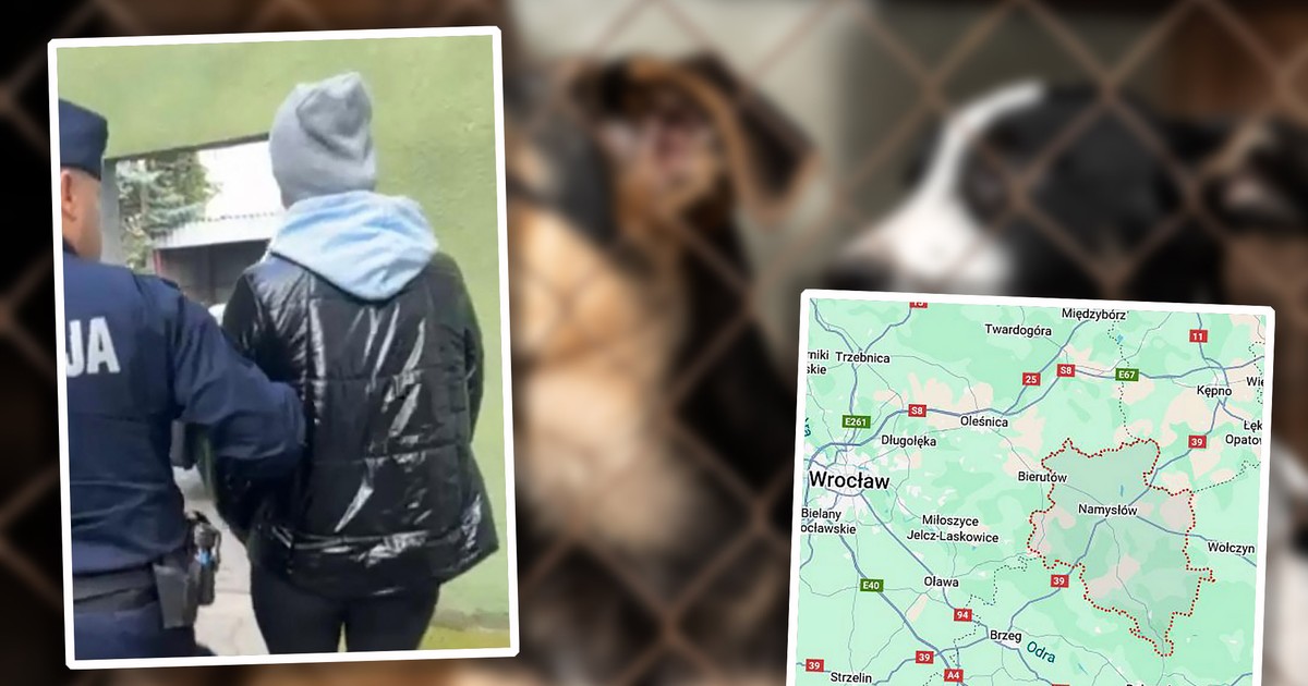 Pracowała w przychodni weterynaryjnej. Jej mieszkanie skrywało makabryczną tajemnicę