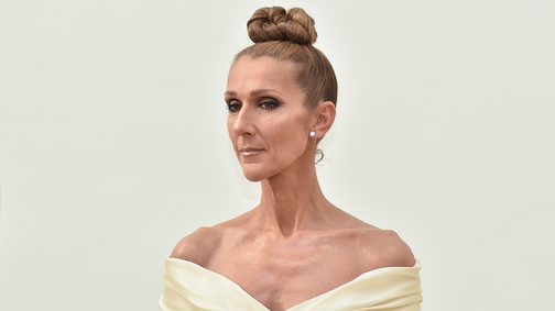 Céline Dion szívszorító fotója láttán képtelenség visszatartani a sírást: fájdalmasan gyönyörű pillanatot osztott meg az énekesnő