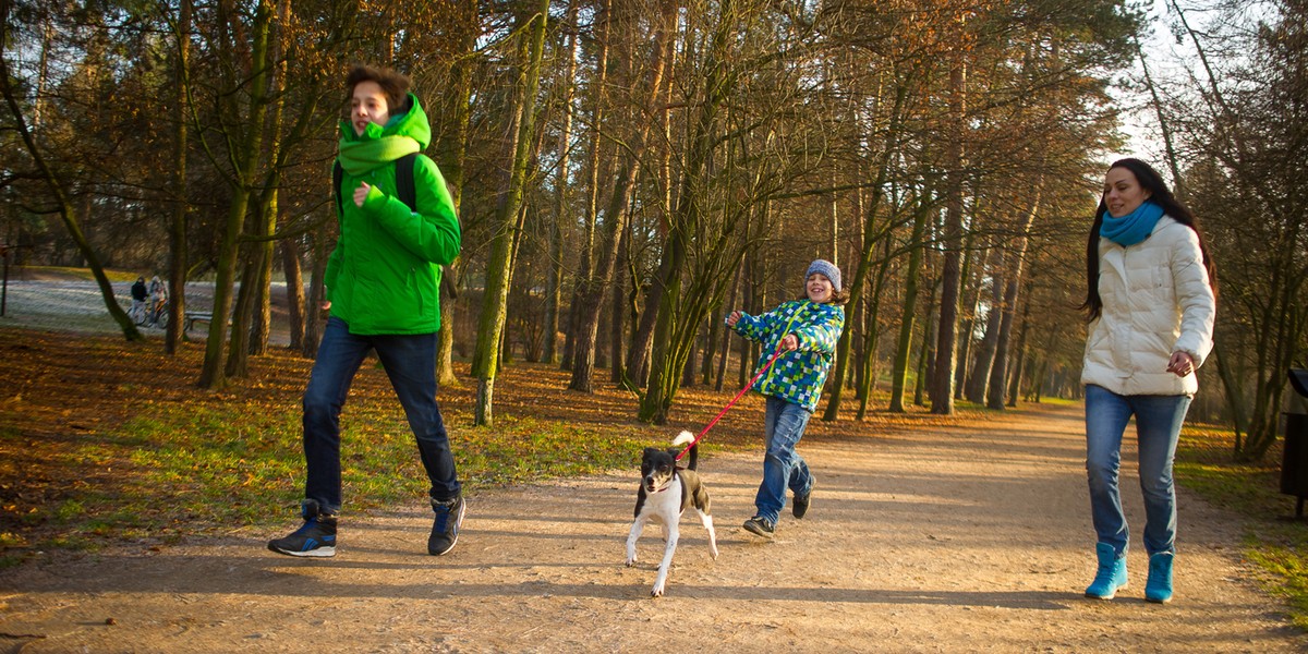 Sprawdźcie prognozę na długi listopadowy weekend